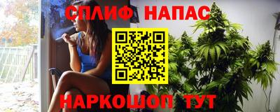 Альфа ПВП Будённовск